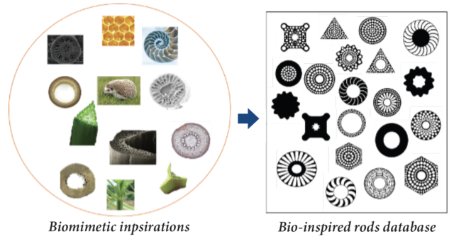 Illustration of biomimetic components